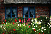 Frisian house, Morsum, Sylt Island, North Frisian Islands, Schleswig-Holstein, Germany, Europe