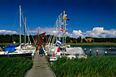 Hafen Prerow, Darss, Mecklenburg Vorpommern, Deutschland, Europa