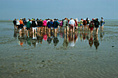 Hiking in the mudflat, Norderney Island, Germany