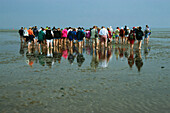 Wattwanderung, Insel Norderney, Ostfriesische Inseln, Deutschland, Europa