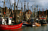 Fischkutter im Hafen, Neuharlingersiel, Ostfriesische Inseln, Niedersachsen, Deutschland, Europa