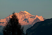 Berg, Mönch, Gimmelwald, Lauterbrunnen, Schweiz
