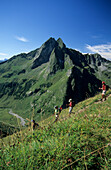 four young ladies hiking, view to Höfats, Himmeleck, Allgäu range, Allgaeu, Swabia, Deutschland