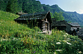 Alte Holzhäuser in Bosco-Gurin, Tessin, Schweiz