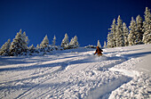 skiing in deep powder snow, Bavarian Alps, Upper Bavaria, Bavaria, Germany
