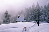 Rodeln an der Lustenauer Hütte, Schwarzenberg, Bregenzer Wald, Vorarlberg, Österreich