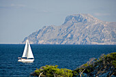 Segelboot vor der Küste, Cap des Pinar, Berg Atalaia d'Alcudia, Mallorca, Balearen, Spanien, Europa