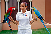 Papageien-Show, Loro Parque, Puerto de la Cruz, Teneriffa, Kanarische Inseln, Spanien, Europa