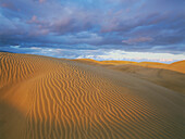 Dünen von Maspalomas, Naturschutzgebiet, Gran Canaria, Kanarische Inseln, Spanien