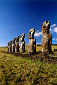 Seven Moai in the landscape north of Hanga Roa, Ahu A Kivi, Osterinsel