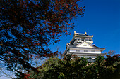 Schloss Gifu auf Berg Kinkazan oberhalb des Stadtzentrums, Gifu, Japan