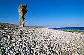 Kalksteinformation (Raukar), Kiesstrand, Naturreservat Digerhuvud, Nordküste, Insel Farö, Gotland, Schweden