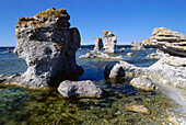 Raukar, Kalksteininformationen, Nauturreservat Gamle Hamn, Insel Farö, Gotland, Schweden