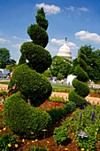 Der botanische Garten, Washington DC, Vereinigte Staaten von Amerika, USA
