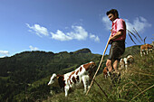 Senner  in Karohemd und Lederhose, hütet das Jungvieh auf den steilen Wiesen der Viehausalm, Nationalpark Hohe Tauern, Salzburger Land, Österreich