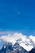 Paraglider, Grindelwald, Berner Oberland, Kanton Bern, Schweiz