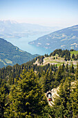 Schynige Platte railway leaving Grätlitunnel, Lake Thun in background, Schynige Platte (1967 m), Interlaken, Bernese Oberland (highlands), Canton of Bern, Switzerland