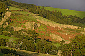 Serra de Agua de Pau above Villa Franca do Campo, Azores, Portugal