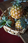 Ein Korb mit Ananas auf dem Tisch, Azoren, Portugal