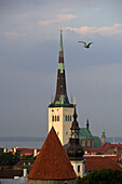 Altstadt von Tallinn von der Rohukohtu Aussichtsplattform. Ein Turm der Befestigungsmauern vorne, dahinter das Michaelskloster und die Olaikirche