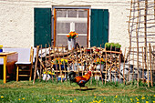 A Cock and farmhouse in Seehausen, Upper Bavaria, Bavaria, Germany, Europe