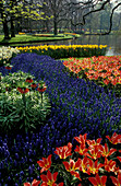 Blumenbeete in einem Garten, Keukenhof, Niederlande, Europa