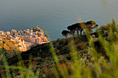 Italien, Ligurien, Cinque Terre, Vernazza