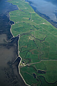 Hallig Nordmarsch-Langeness, North Frisian Island, Schleswig-Holstein, Germany