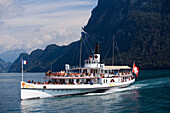 Paddle Wheel Steamer DS Gallia on Lake Lucerne, Bürgenstock, Canton of Lucerne, Switzerland