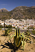 Ortschaft, Grazalema, Andalusien, Spanien