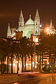 Palmen, Kathedrale, Mallorca, Spanien