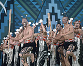 Tanz und Gesangs Performance, Rotorua Arts Festival, Nordinsel, Neuseeland