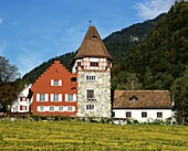 Liechtenstein, Vaduz, Rotes Haus, Weinberg