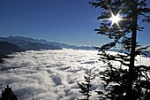 Switzerland, Stanserhorn, Fog, swiss alps, Vierwaldstaetter  See