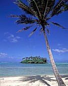 Rarotonga Cook Islands South Pacific