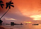 Tobago, Pigeon Point