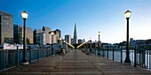 View on Downtown and Transamerican Pyramid, San Francisco, California, USA