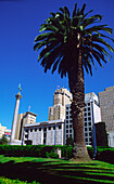 USA CA San Francisco downtown park palm tree