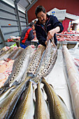 Ein Inuit, Eskimo präpariert Catfish am Fleisch- und Fischmarkt in Nuuk, der Hauptstadt Grönlands