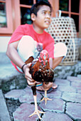 junger Mann hält einen Hahn fest, Bali, Indonesien, Asien, Hahnenkampf, Tradition, Kultur, Männersache, Männlichkeitssymbol, Hahn schaut in Kamera, festhalten, stolz, Tier, Reise, Fernreise, exotisch, Lebensweise