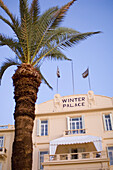 Hotel Winterpalace and Palm Tree, Luxor, Egypt