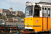 A Tram with Buda castle in the background, Budapest, Hungary