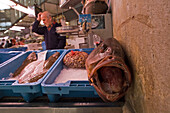 fresh fish, Mercado Central, central market, Valencia, Spain