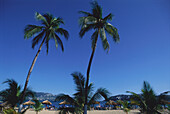 Strand mit Palmen, Playa Condesa, Acapulco, Mexiko, Amerika