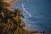 Sandy beach with palm trees, Playa la ropa, Zihuatanejo, Guerrero, Mexico, America