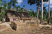 Haus im Tropenwald, Nordandamanen, Andamanen Inseln, Indien