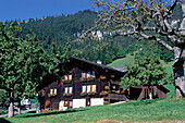 Ländliches Motiv, Bauernhaus, Beatenberg bei Interlaken, Berner Oberland, Schweiz