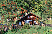Ländliches Motiv mit Bauernhaus, Brienz, Berner Oberland, Schweiz