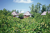 Hotel bungalows, Hotel La Prince Maurice, Urlaub, Übernachtung, Mauritius, Afrika