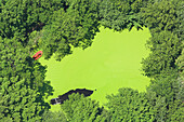 Grüner Fischteich mit einem boot und Bäume von oben, Vogelperspektive, Landschaft